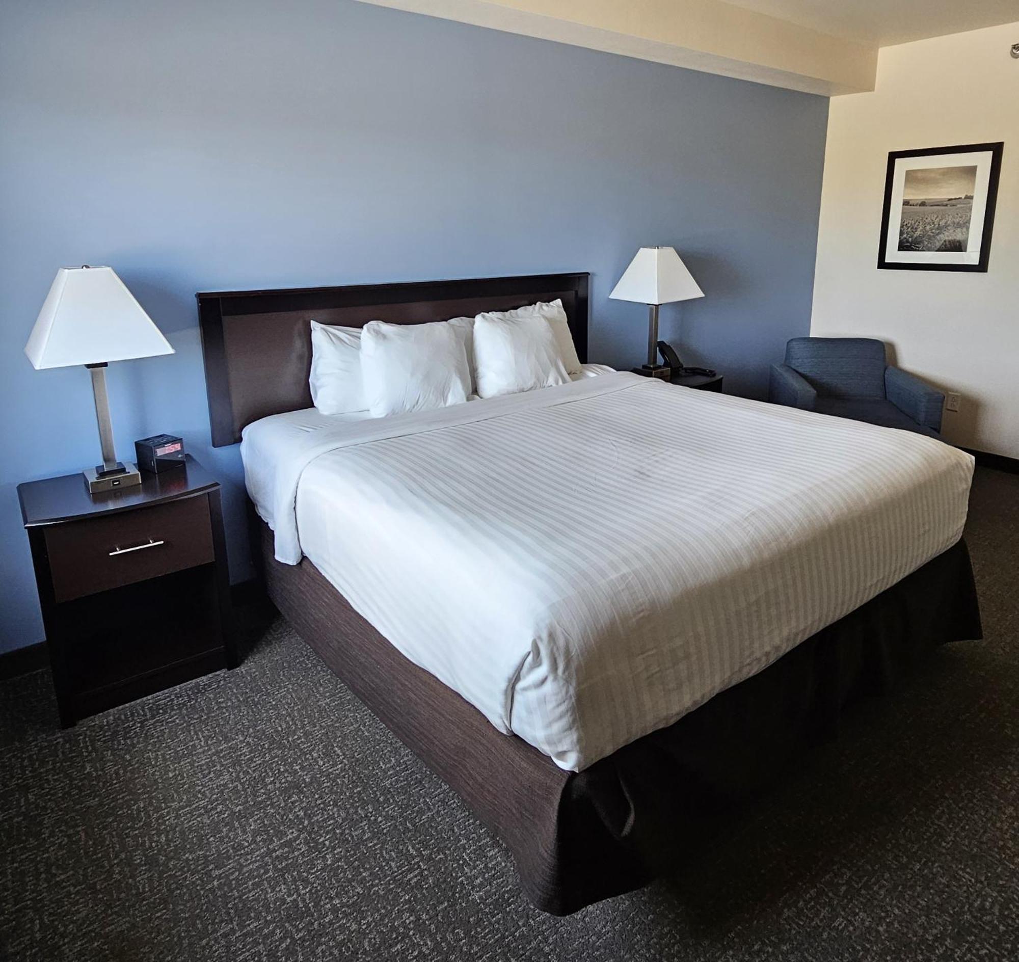 Hotel Cobblestone & - 2*